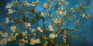 Affiche Vincent Van Gogh : Branche d'amandier en fleur, 1890