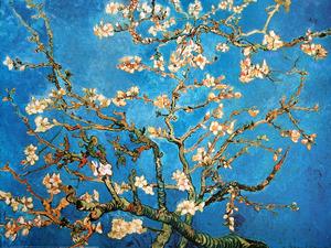 Affiche Vincent Van Gogh : Branche d'amandier en fleur, 1890