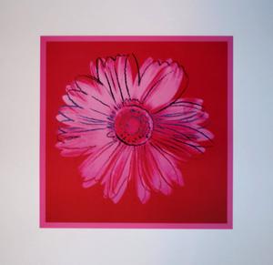 Lámina Andy Warhol, Daisy Crimson & Pink, 1982