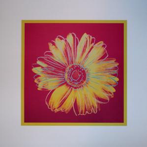 Stampa Andy Warhol, Daisy Fushia & Yellow, 1982