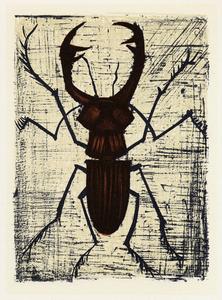 Lithographie Bernard Buffet : Coléoptère, 1967