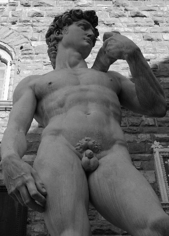 Michelangelo - David