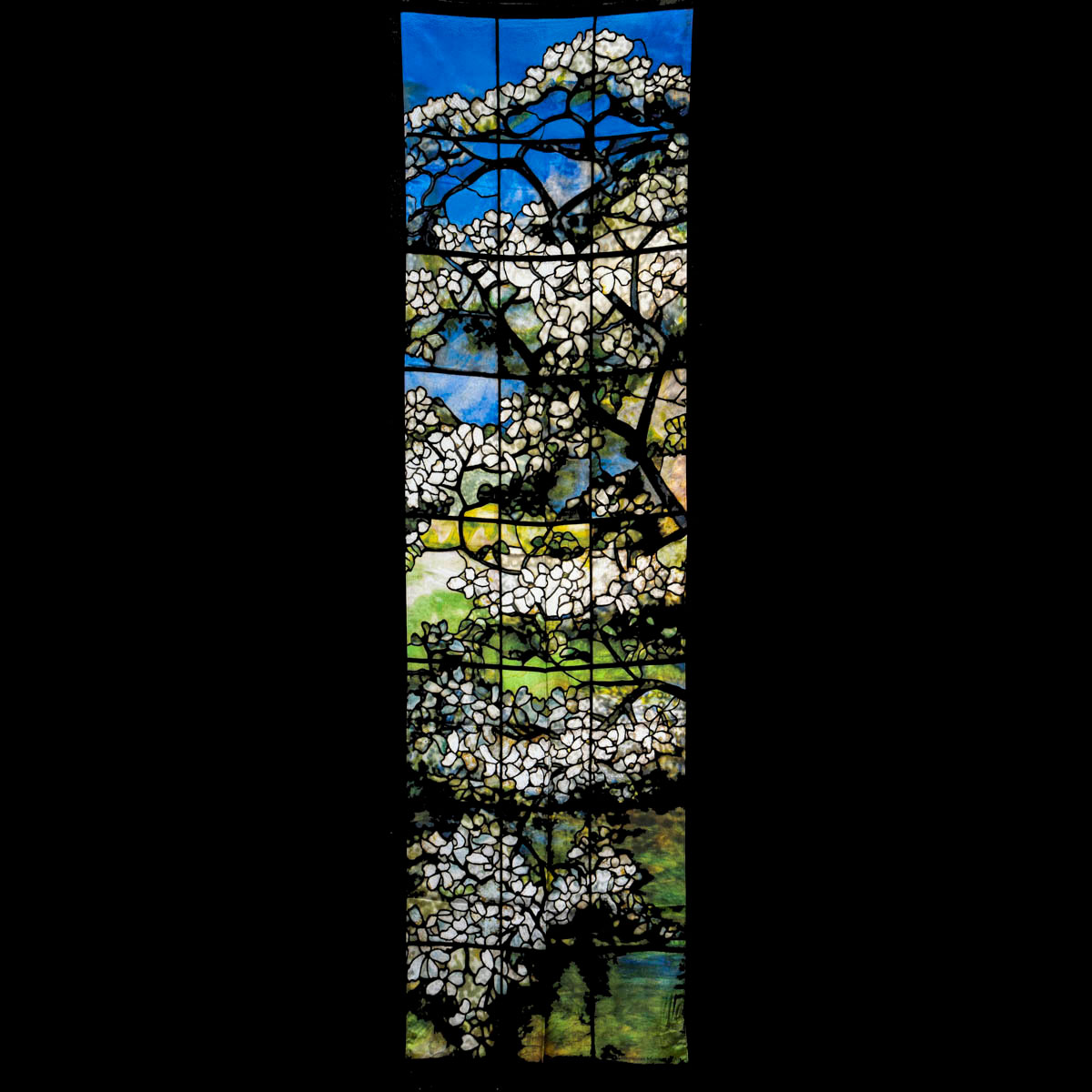 Bufanda Louis C. Tiffany : Dogwood (desplegado)