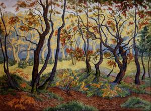 Tela Paul Ranson, El claro